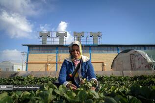 تولید ملی برای آبادانی مناطق محروم