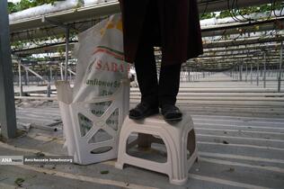 تولید ملی برای آبادانی مناطق محروم