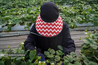 تولید ملی برای آبادانی مناطق محروم