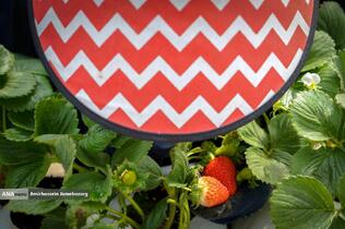 تولید ملی برای آبادانی مناطق محروم