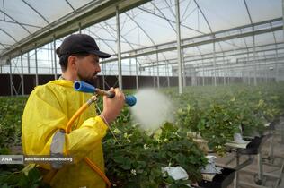 تولید ملی برای آبادانی مناطق محروم