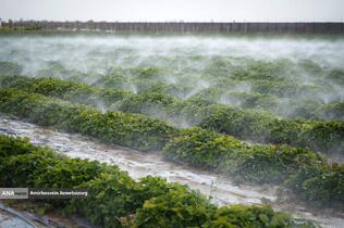 تولید ملی برای آبادانی مناطق محروم