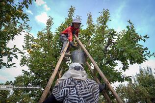 توانمندی اقتصادی برای رفع محرومیت - باغ گلابی