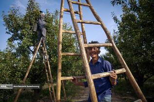 توانمندی اقتصادی برای رفع محرومیت - باغ گلابی