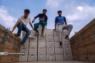 توانمندی اقتصادی برای رفع محرومیت - باغ گلابی