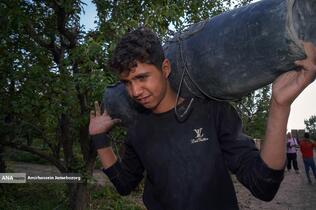 توانمندی اقتصادی برای رفع محرومیت - باغ گلابی