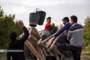 توانمندی اقتصادی برای رفع محرومیت - باغ گلابی