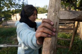 توانمندی اقتصادی برای رفع محرومیت - باغ گلابی