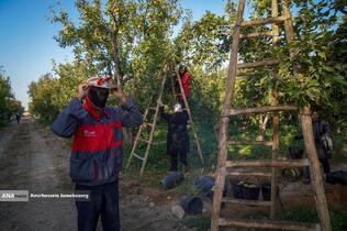 توانمندی اقتصادی برای رفع محرومیت - باغ گلابی