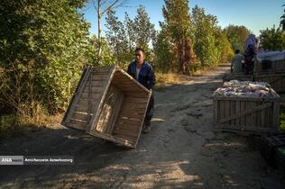 توانمندی اقتصادی برای رفع محرومیت - باغ گلابی