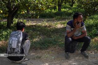 توانمندی اقتصادی برای رفع محرومیت - باغ گلابی