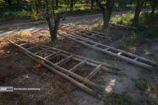 توانمندی اقتصادی برای رفع محرومیت - باغ گلابی