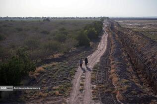 تولید برای محرومیت زدایی - باغ پسته