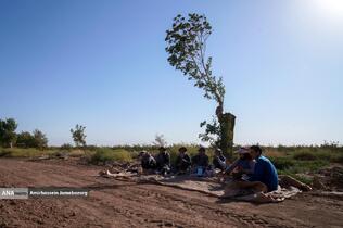 تولید برای محرومیت زدایی - باغ پسته