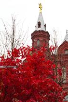 میدان سرخ مسکو در روسیه