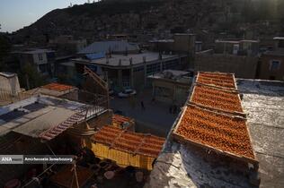 خُرو؛ پایتخت آلوی ایران