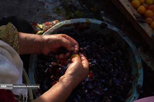 خُرو؛ پایتخت آلوی ایران