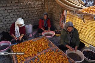 خُرو؛ پایتخت آلوی ایران