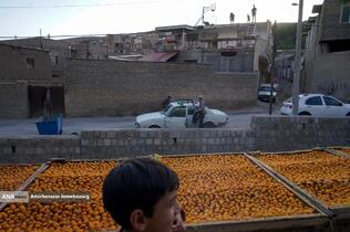 خُرو؛ پایتخت آلوی ایران