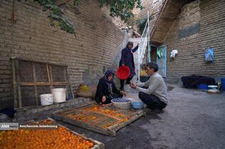 خُرو؛ پایتخت آلوی ایران