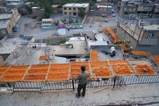 خُرو؛ پایتخت آلوی ایران