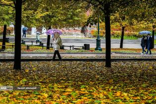 باغ الکساندر مسکو - روسیه