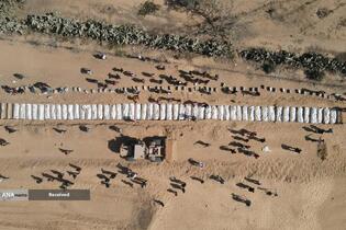 تشییع شهدای فلسطینی‌ ناشناس