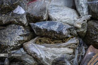 امحای ۲۰ تن مواد مخدر در تهران