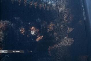 مراسم عزاداری سالروز شهادت حضرت فاطمه زهرا (س)