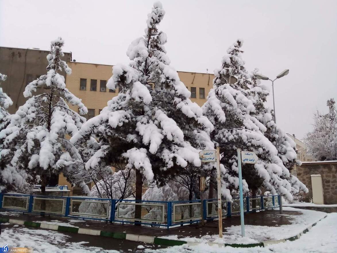 دانشگاه آزاد اسلامی واحد قم در یک روز برفی