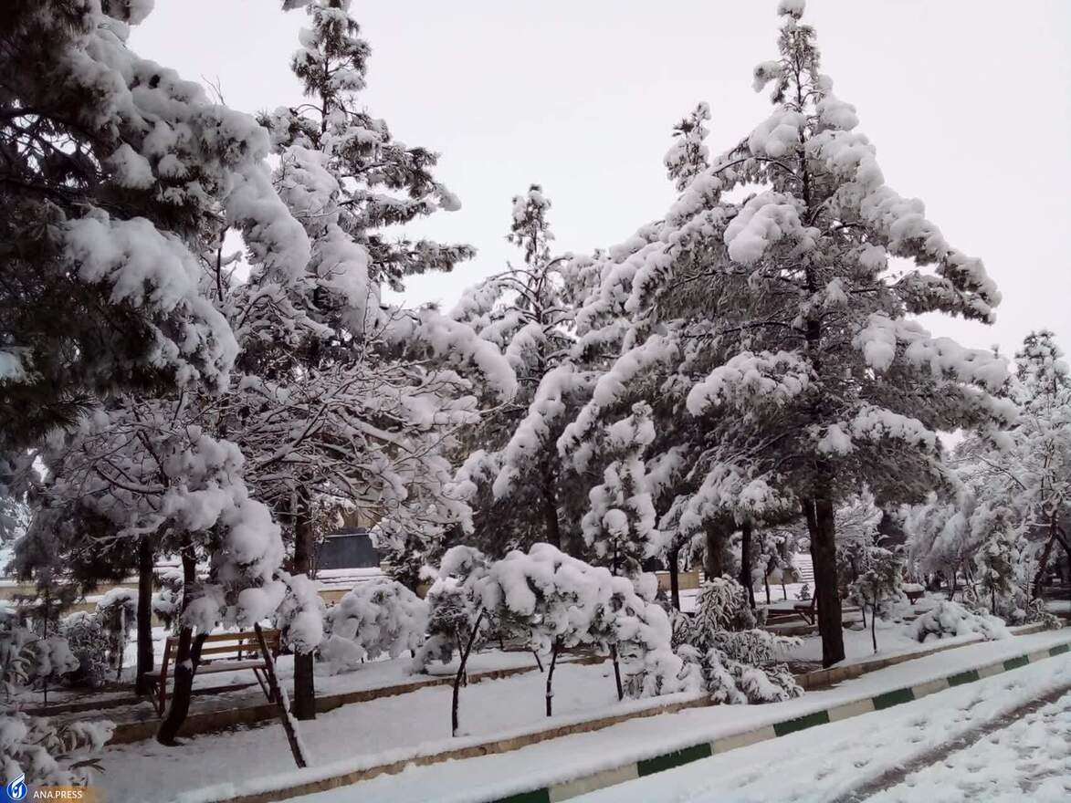 دانشگاه آزاد اسلامی واحد قم در یک روز برفی