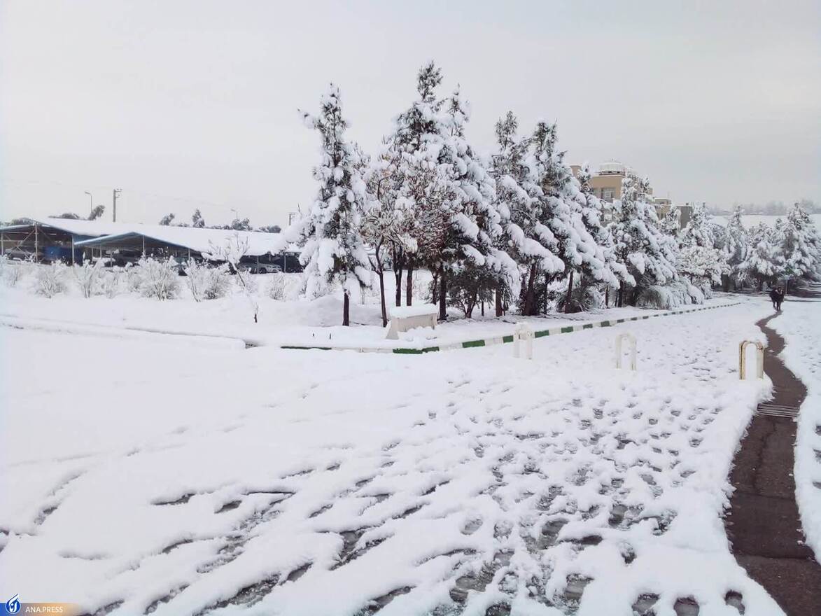 دانشگاه آزاد اسلامی واحد قم در یک روز برفی