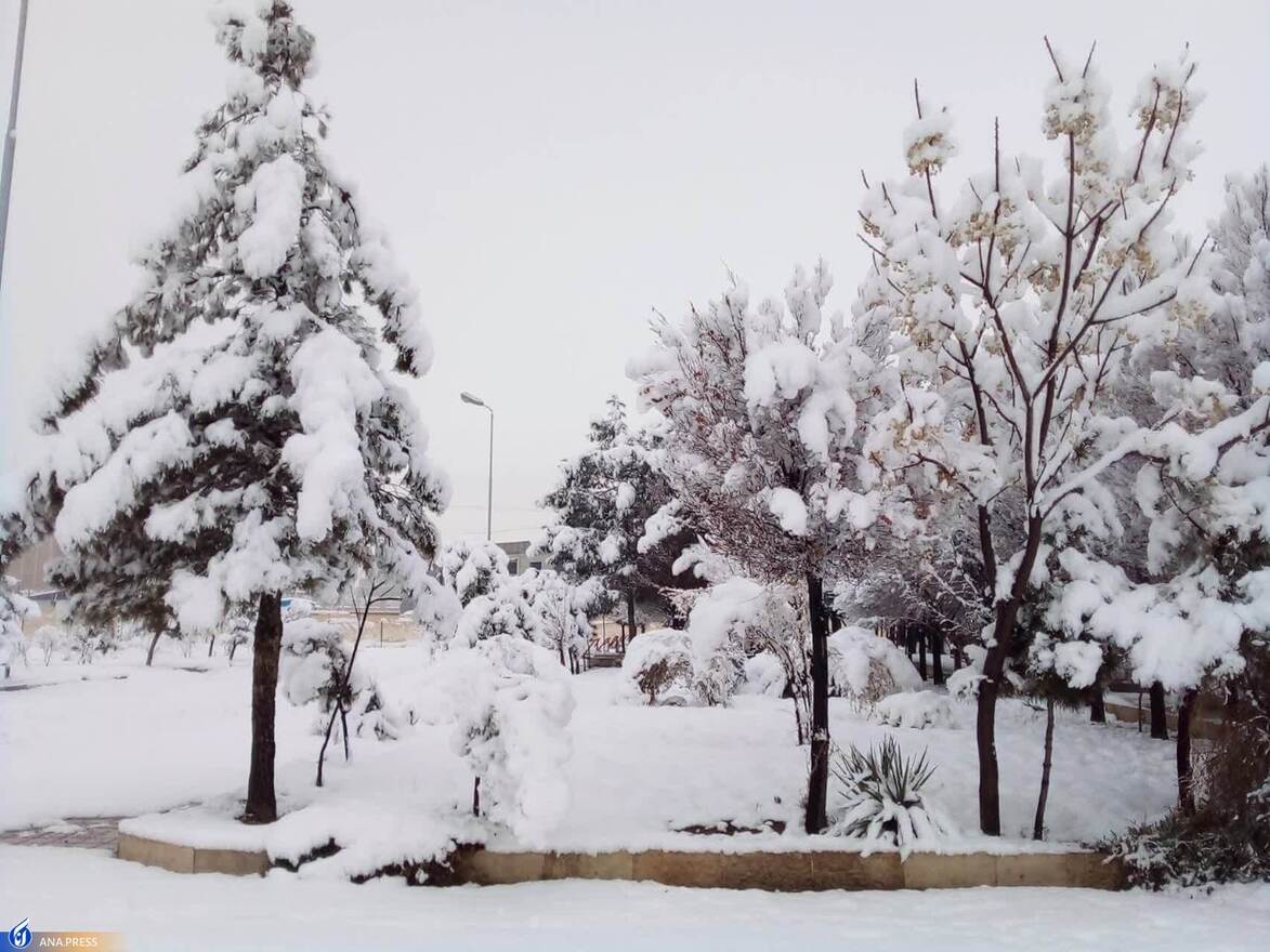 دانشگاه آزاد اسلامی واحد قم در یک روز برفی