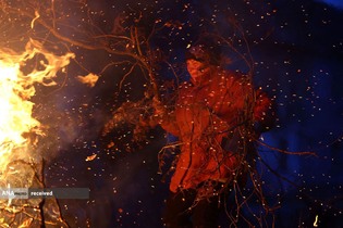 جمع آوری هیزم برای گرم کردن منازل در منطقه میکولایف، اوکراین