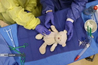 کلینیک خرس عروسکی برای آموزش جراحی ،بلژیک