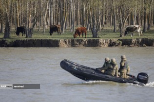 تمرین نظامی ناتو &laquo;سپر دریایی 2023&raquo; در امتداد رودخانه دانوب در تولچه، رومانی
