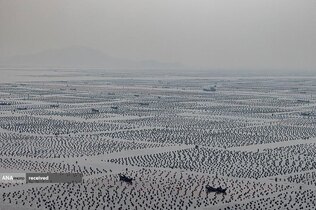 ماهیگیران چینی حین صید ماهی در نزدیکی آب&zwnj;های جزایر ماتسو، تایوان 