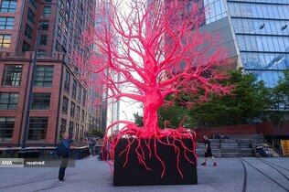بازدید مردم از &laquo;درخت قدیمی&raquo; اثر هنرمند سوئیسی پاملا روزنکرانز، نیویورک 