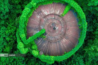 نمایی هوایی از مخازن نفت رها شده در میان گیاهان در استان جیانگ&zwnj;سو، چین