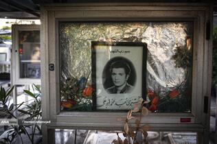 قاب های ماندگار شهدا