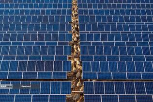 صفحات خورشیدی بر روی حفاظت&zwnj;گاه طبیعی در یانچنگ، چین