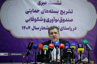 محمدصادق خیاطیان رئیس هیئت عامل صندوق نوآوری و شکوفایی