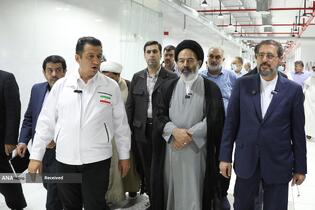 بازدید حجت الاسلام سید عبدالفتاح نواب سرپرست حجاج ایرانی و علیرضا بیات رئیس سازمان حج و زیارت از آشپزخانه ابوسرحد مکه