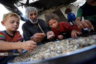 بحران گرسنگی رو به وخامت غزه همزمان با تشدید هشدارهای قحطی