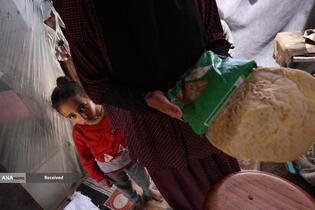 شهرک نشینان صهیونیست مسیر کامیون‌های حامل آرد به نوار غزه را بستند