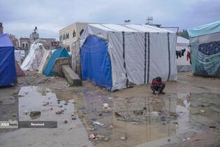 شهرک نشینان صهیونیست مسیر کامیون‌های حامل آرد به نوار غزه را بستند