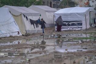 شهرک نشینان صهیونیست مسیر کامیون‌های حامل آرد به نوار غزه را بستند