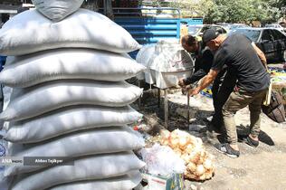 نوشیدن آب در گرمای تابستان