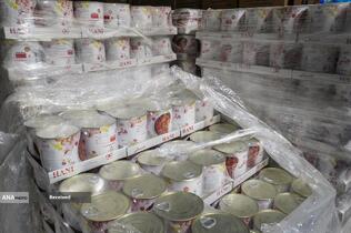 بازدید رئیس ستاد فرمان اجرائی امام(ره) از خدمت رسانی موکب داران اربعین حسینی مرز مهران