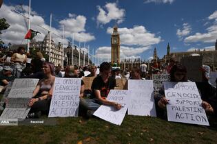 دستگیری 365 نفر از حامیان فلسطین توسط پلیس لندن